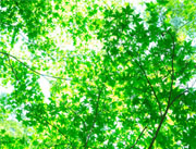 �������i�̃G�A�[�R���v���b�T�[�E�֘A�@��̎��Ȃ�
���C�����������I
�󈳊֘A�@��̔̔��A�C���̗L����ЃC�C�d�J�T�[�r�X